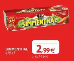 Docks Cash&Carry Simmenthal offerta
