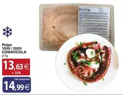 Docks Cash&Carry Polpo 1000/2000 COMAVICOLA offerta