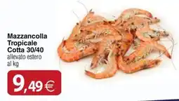 Docks Cash&Carry Mazzancolla Tropicale Cotta 30/40 offerta