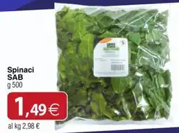 Docks Cash&Carry Spinaci SAB offerta