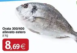 Docks Cash&Carry Orata 300/400 allevato estero offerta