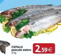 Docks Cash&Carry CEFALO pescato estero offerta