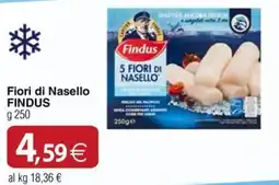 Docks Cash&Carry Fiori di Nasello FINDUS offerta