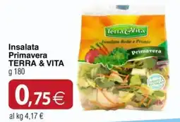 Docks Cash&Carry Insalata Primavera TERRA & VITA offerta