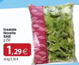 Docks Cash&Carry Insalata Novella SAB offerta
