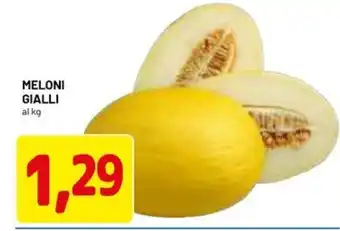 DPiù Meloni gialli offerta