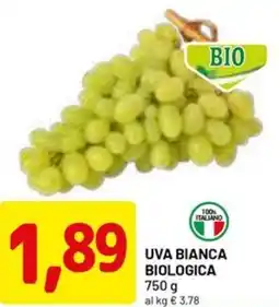 DPiù Uva bianca biologica offerta