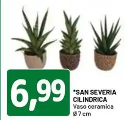 DPiù San severia cilindrica vaso ceramica offerta