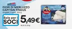 Ipercoop Fiori di merluzzo CAPITAN FINDUS offerta