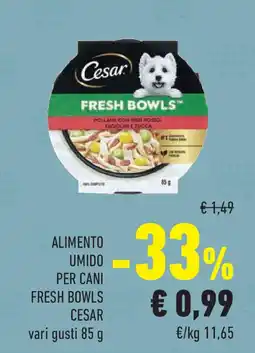 Conad Superstore Alimento umido per cani fresh bowls CESAR offerta