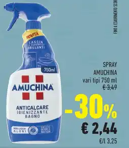 Conad Superstore Spray AMUCHINA offerta