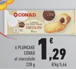 Conad Superstore 6 plumcake CONAD offerta