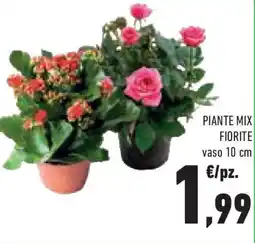 Conad Superstore Piante mix fiorite vaso 10 cm offerta