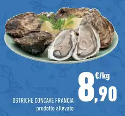 Conad Superstore Ostriche concave francia offerta