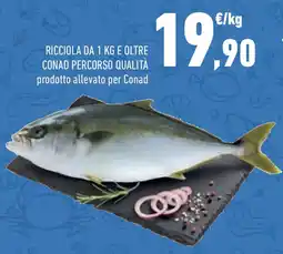 Conad Superstore Ricciola da e oltre conad percorso qualità offerta