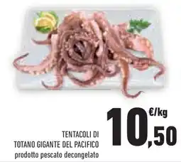 Conad Superstore Tentacoli di totano gigante del pacifico offerta