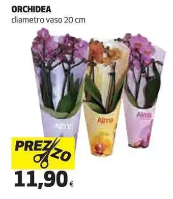 Ipercoop Orchidea offerta