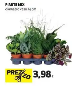 Ipercoop Piante mix offerta