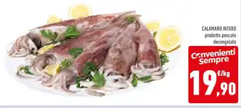 Conad CALAMARO INTERO prodotto pescato decongelato offerta