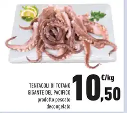 Conad Tentacoli di totano gigante del pacifico prodotto pescato decongelato offerta