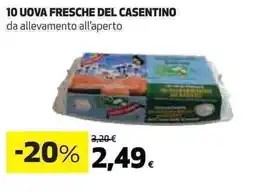 Ipercoop 10 uova fresche del casentino offerta