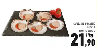 Conad Capesante 1/2 guscio fresche offerta