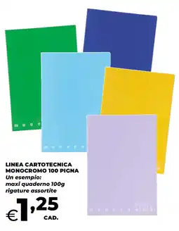 Ipercoop Linea cartotecnica monocromo 100 pigna offerta