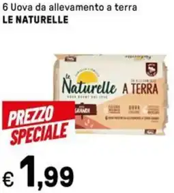 Iper La Grande 6 Uova da allevamento a terra LE NATURELLE offerta