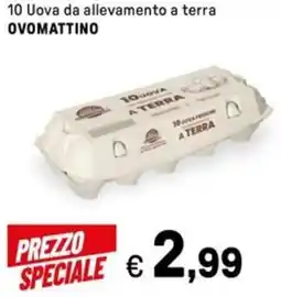 Iper La Grande 10 Uova da allevamento a terra OVOMATTINO offerta