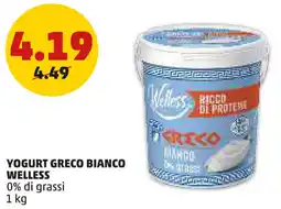PENNY Yogurt greco bianco WELLESS offerta