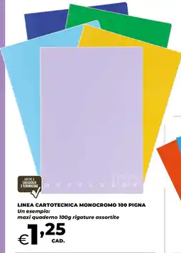 Extracoop LINEA CARTOTECNICA MONOCROMO 100 PIGNA Un esempio: maxi quaderno rigature assortite offerta