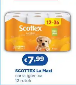 Acqua & Sapone SCOTTEX La Maxi offerta