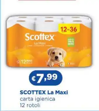 Acqua & Sapone SCOTTEX La Maxi offerta