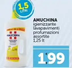 Amato Point AMUCHINA igienizzante lavapavimenti profumazioni assortite offerta