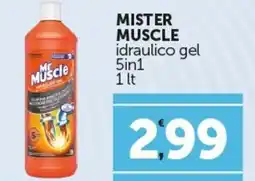 Amato Point MISTER MUSCLE idraulico gel 5in1 offerta