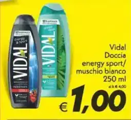 Iper Super Conveniente Vidal Doccia energy sport/ muschio bianco offerta