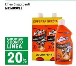 Iper La Grande Linea Disgorganti MR MUSCLE offerta