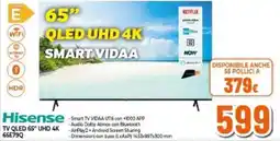 Expert Hisense TV QLED 65" UHD 4K 65E79Q offerta