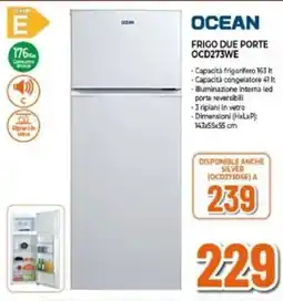 Expert Ocean frigo due porte OCD273WE offerta