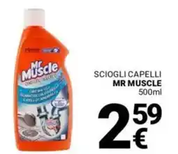Supermercati Gulliver Sciogli capelli MR MUSCLE offerta
