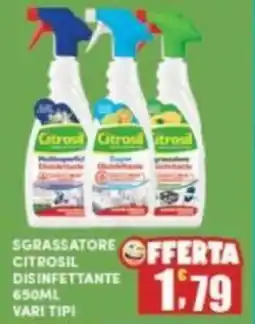 Maury's Sgrassatore citrosil disinfettante vari tipi offerta