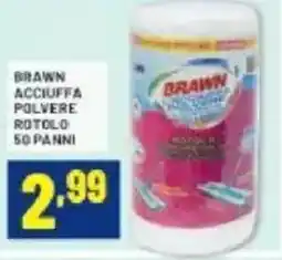 Risparmio Casa BRAWN Acciuffa polvere rotolo 50 panni offerta