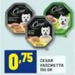 Risparmio Casa Cesar vaschetta offerta