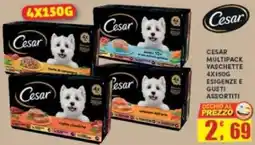 Maury's Cesar multipack vaschette esigenze e gusti assortiti offerta