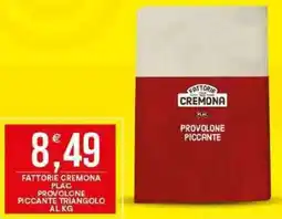 Vantaggio Cash&Carry Fattorie cremona plac provolone piccante triangolo offerta