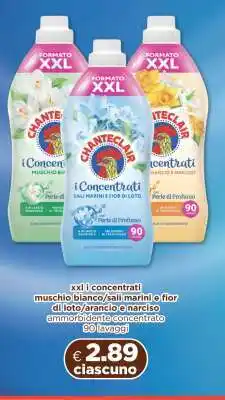 Acqua & Sapone CHANTECLAIR i Concentrati offerta