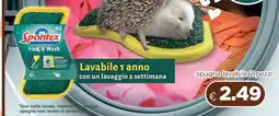 Acqua & Sapone SPONTEX Flex & Wash offerta