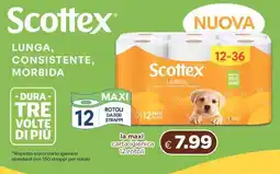 Acqua & Sapone SCOTTEX La Maxi offerta