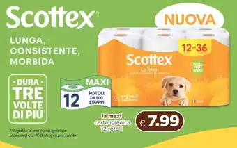 Acqua & Sapone SCOTTEX La Maxi offerta