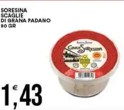 Vantaggio Cash&Carry Soresina scaglie di grana padano offerta